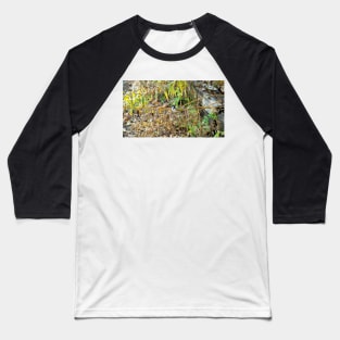 Black-capped Chickadee Looking Around Baseball T-Shirt